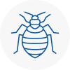 Bed Bug Extermination In Tarleton