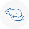 Rat Control Tarleton